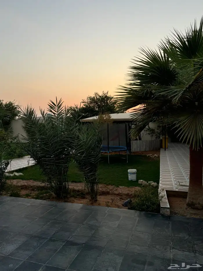 استراحة للايجار في ديراب 16