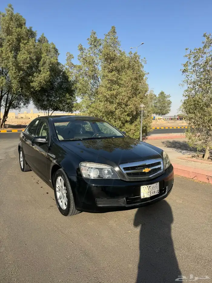 كابرس 2012 8