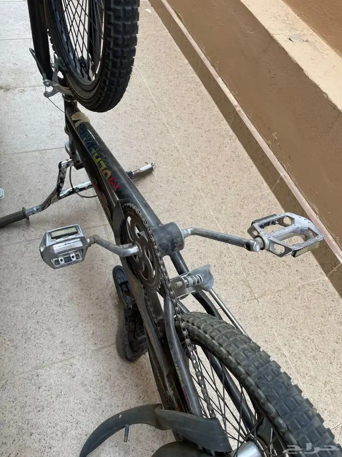 سيكل 5