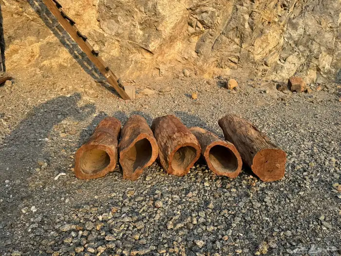 عيدان قفل نحل 2