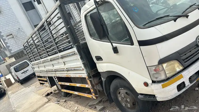 دينا موديل 2010 1