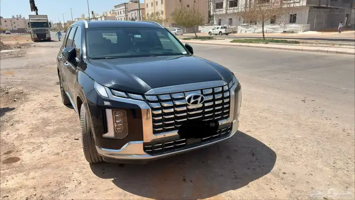 بالسيد 2023 فل كامل كالجرافي 10