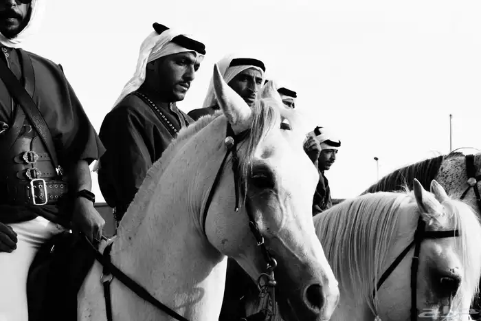 مصورة 11