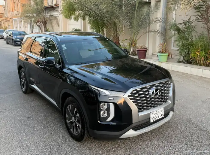 باليسيد 2020 وارد الوكيل 2