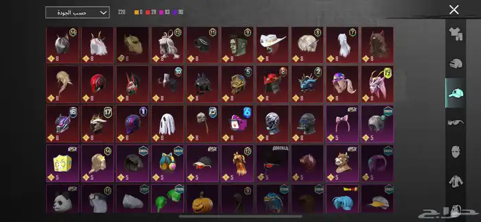 حساب ببجي للبيع 19