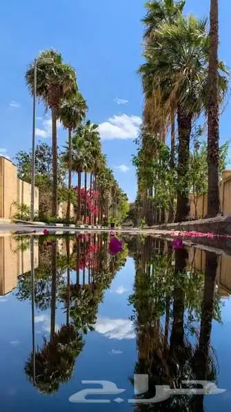 مطلوب ارض بالخالديه اي كانت المساحه الدفع فوري 0