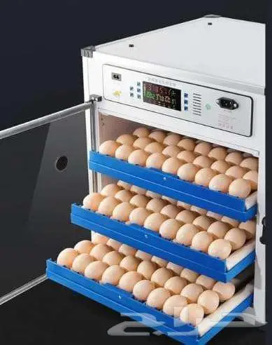 SOFAB 340-Egg Poultry Incubator Machine 0