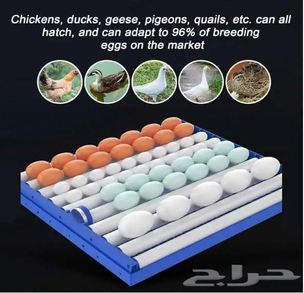 SOFAB 340-Egg Poultry Incubator Machine 2