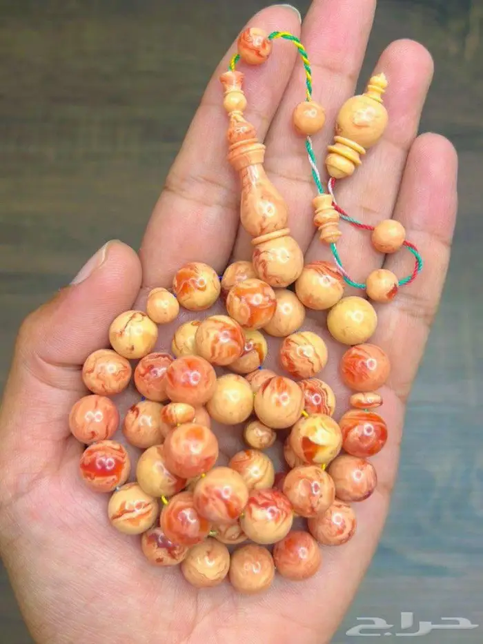 مسباح باسكن للبيع 0