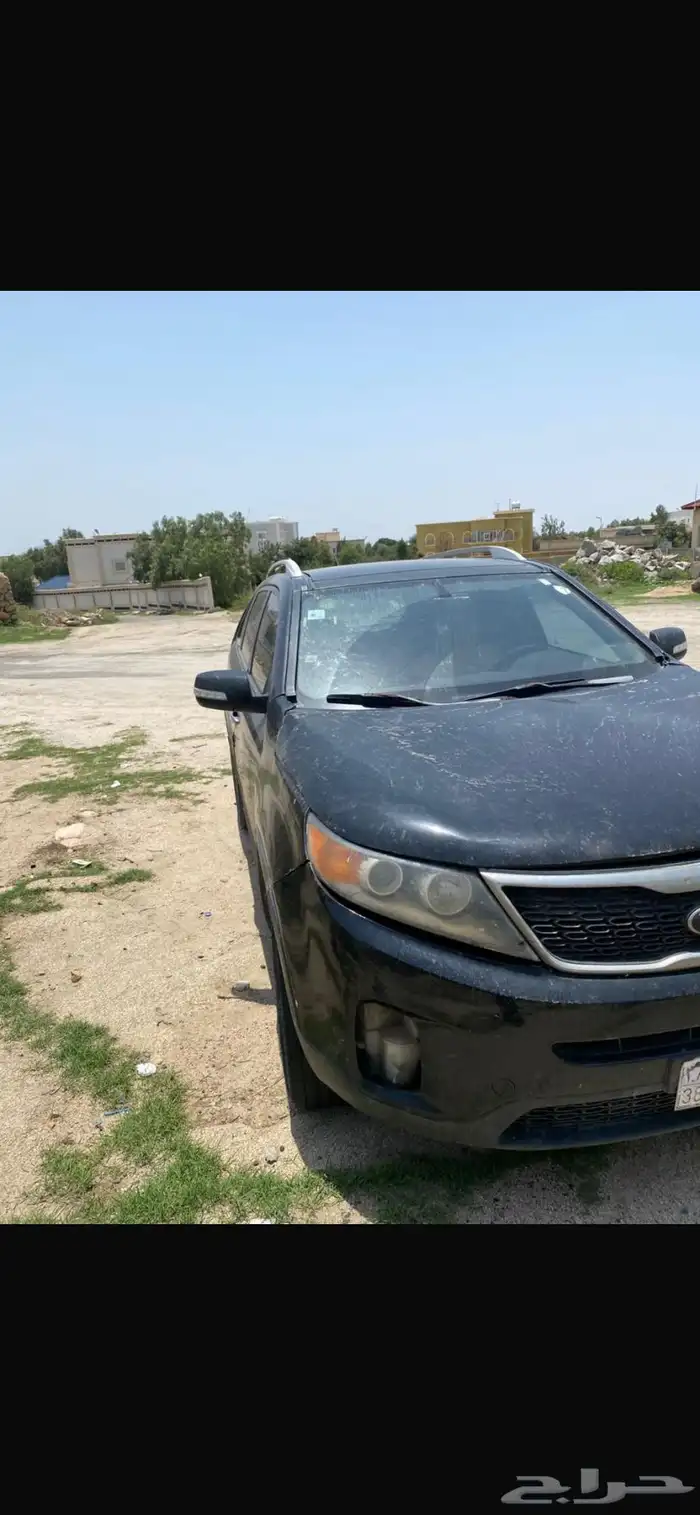 موهافي 2009 3
