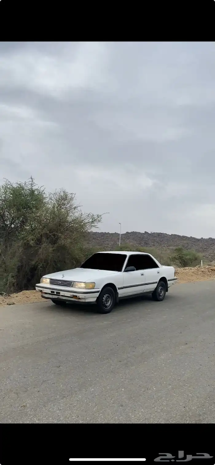 كرسيدا 4