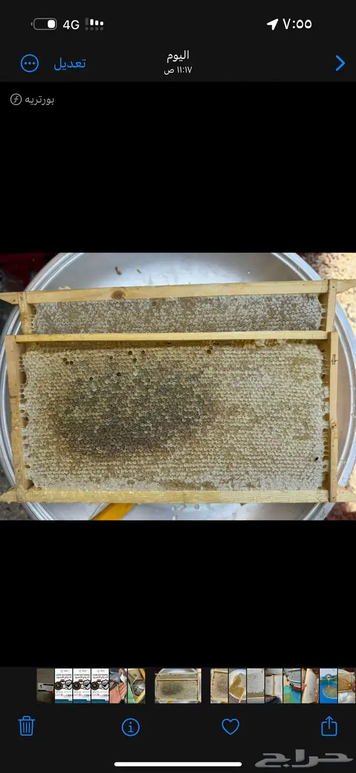 عسل كتاده من سهول بللسمر شي مضمون وعلى الشرط 1