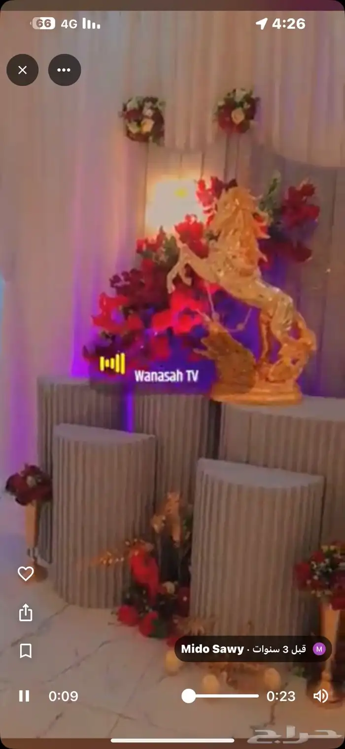 قصر الفخامة للزواجات والمناسبات للايجار اليومي الصلصلة 4