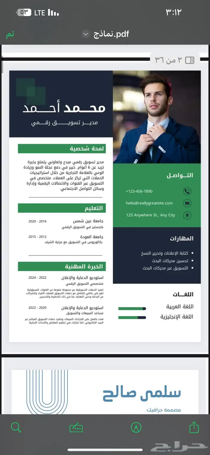 تصميم CV نظام الATS الأكثر طلبا 24