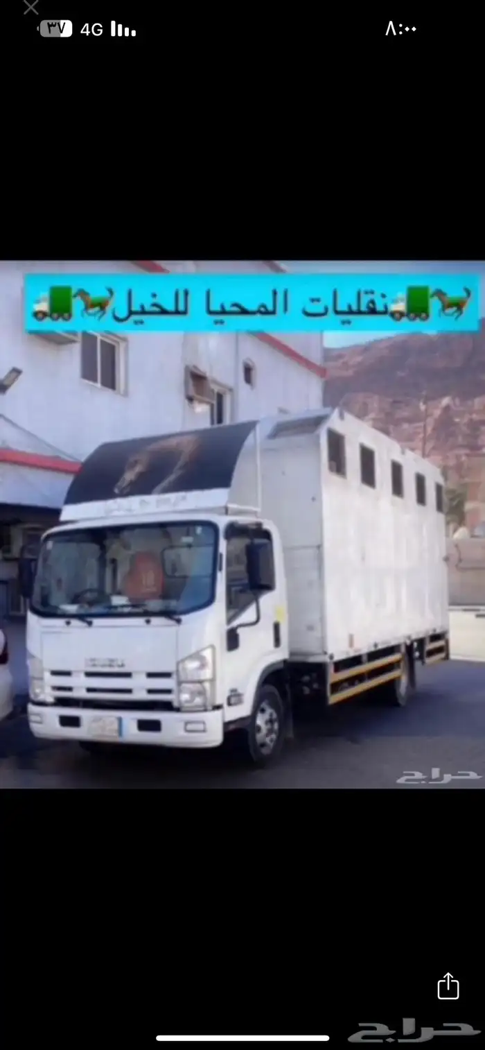 عربة نقل خيل 7 روس جاهز لنقل 0