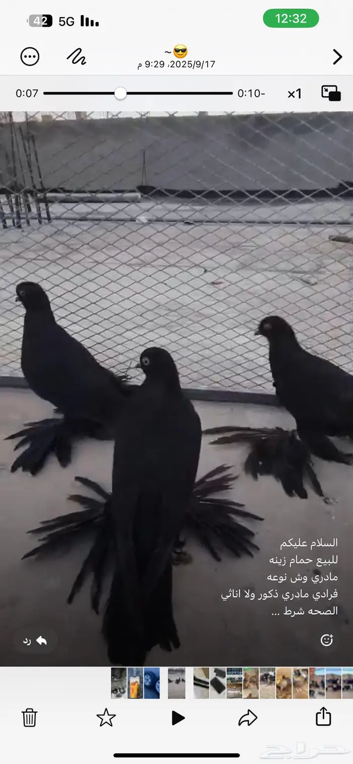 حمام تركي جوزين 0