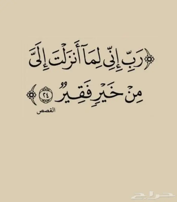 شقه غرفتين او 3 عائله صغيره وكبار مافي اطفال 0