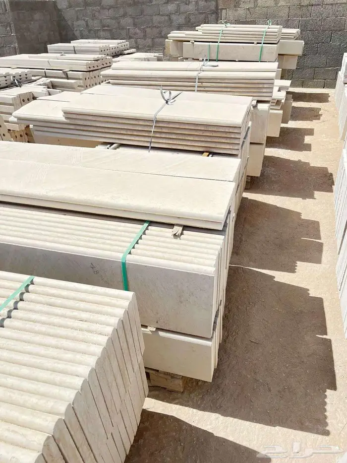 حجر ابيض الرياض نساح 10