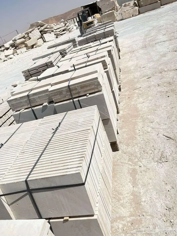 حجر ابيض الرياض نساح 11