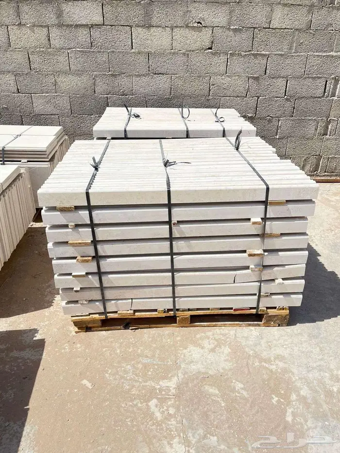 حجر ابيض الرياض نساح 3