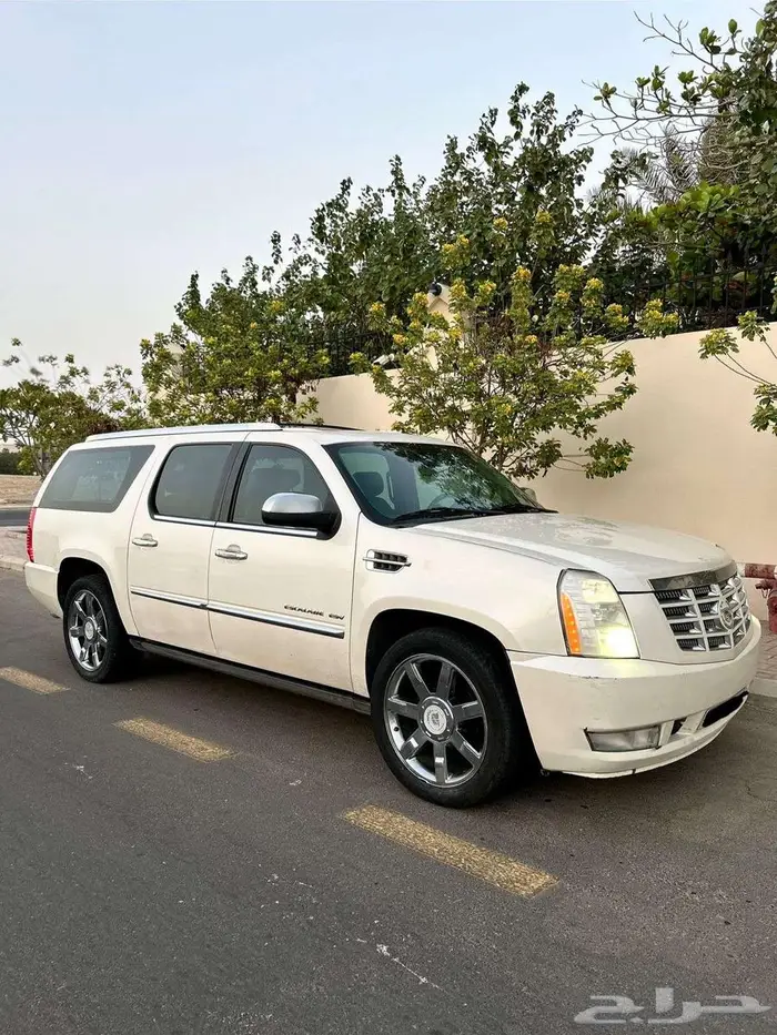 اسكاليد 2010 نظيف شاصي طويل 1