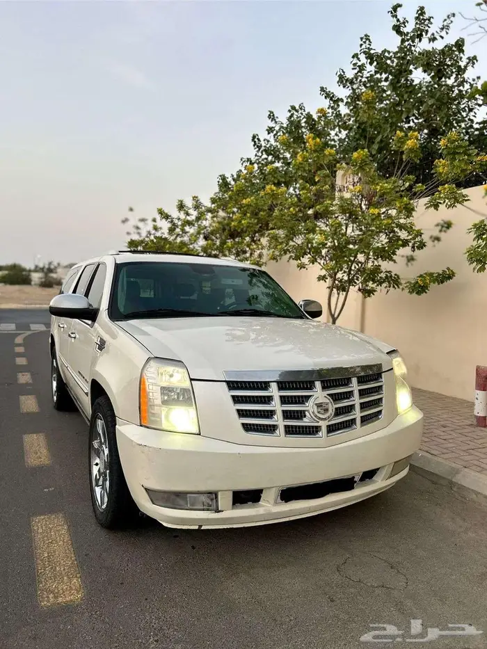 اسكاليد 2010 نظيف شاصي طويل 2