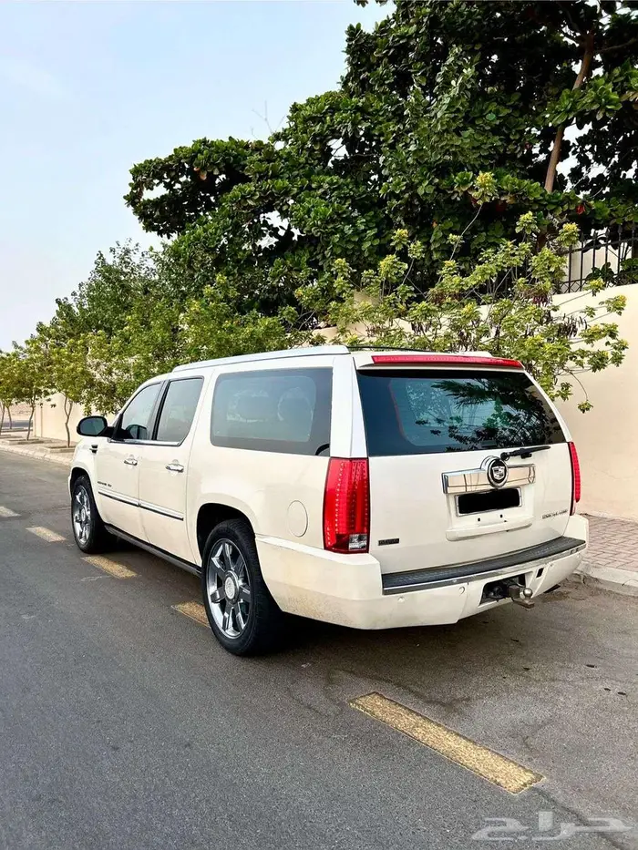 اسكاليد 2010 نظيف شاصي طويل 6