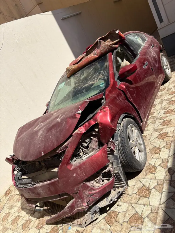 التيما 2016 V6 14