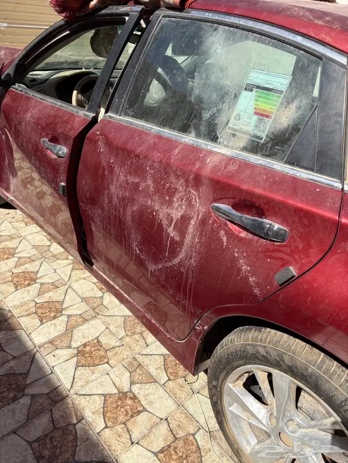 التيما 2016 V6 15
