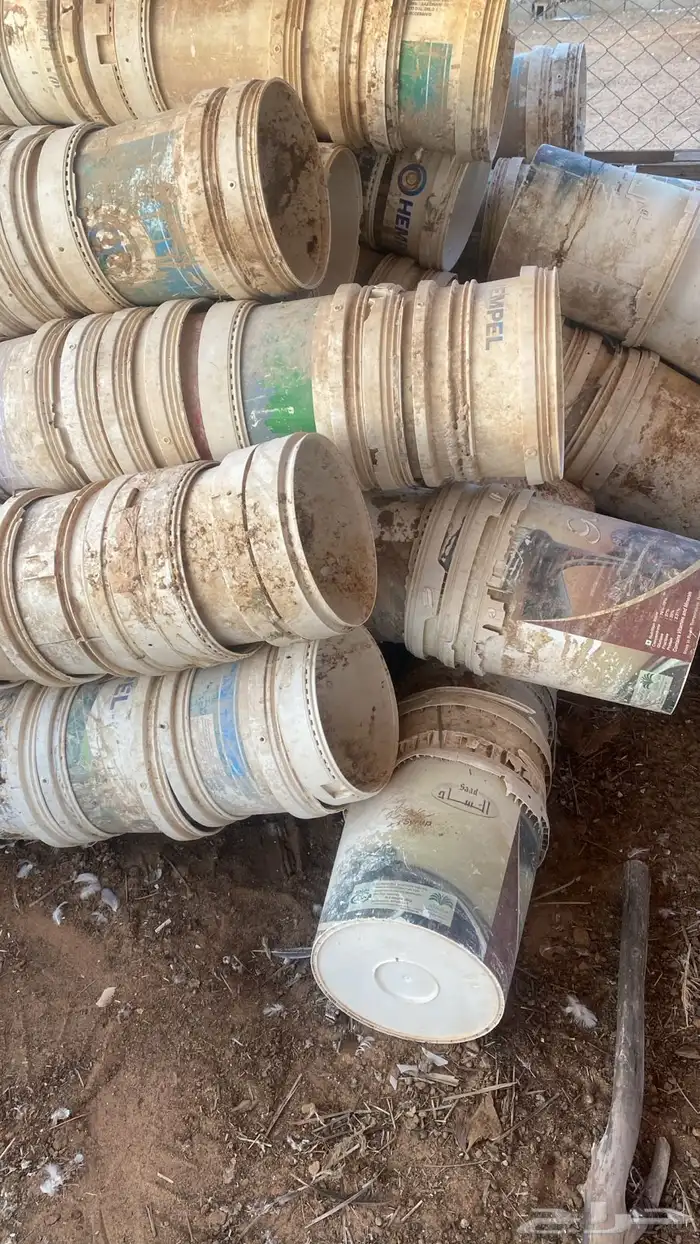أسطول طيور (العدد تقريبا 100) 1