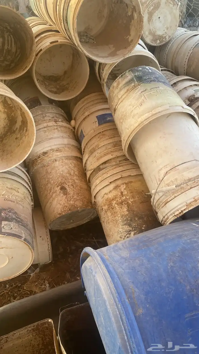 أسطول طيور (العدد تقريبا 100) 0