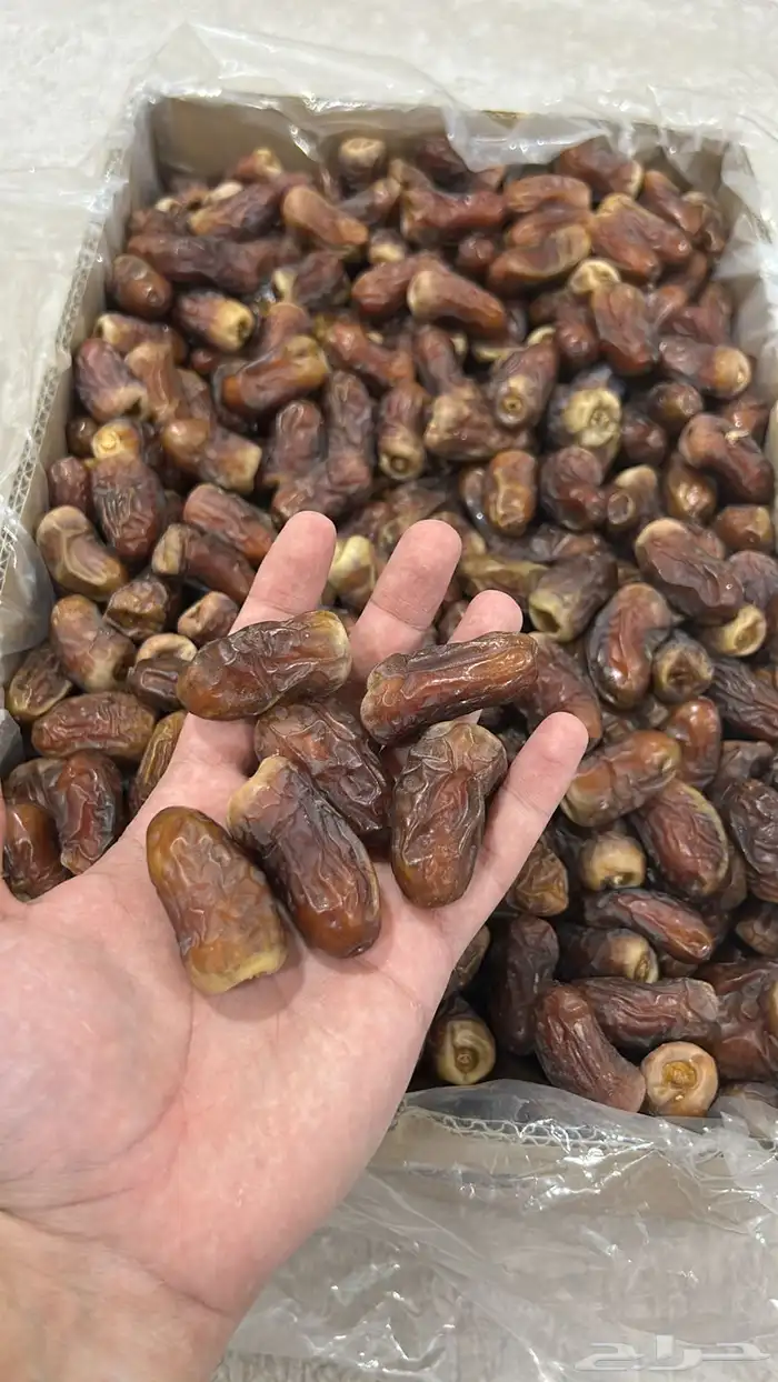 ثمر برني العيص 0