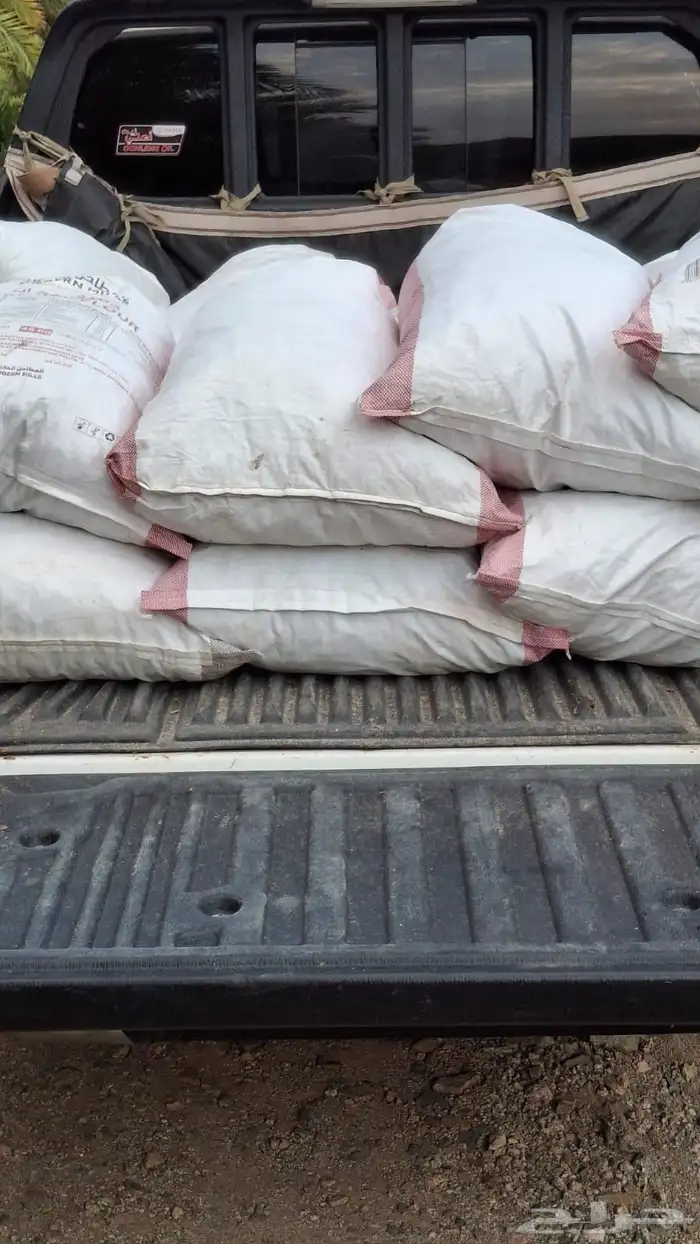 تمر حشف نظيف للحلال 1