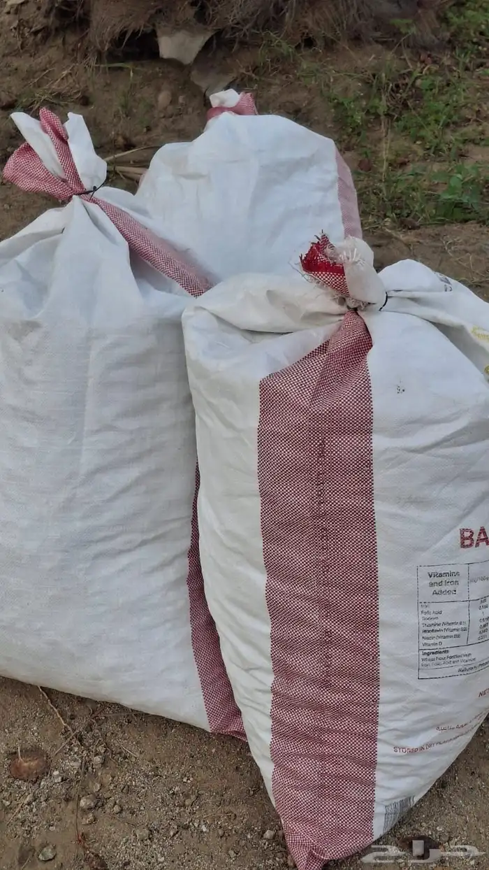 تمر حشف نظيف للحلال 2