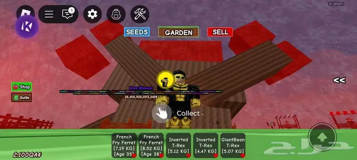 حساب روبلوكس ماب مزرعه و بلوكس فروت و مابات ثانيه 13