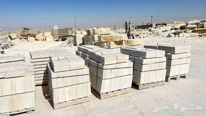 حجر ابيض الرياض نساح 12