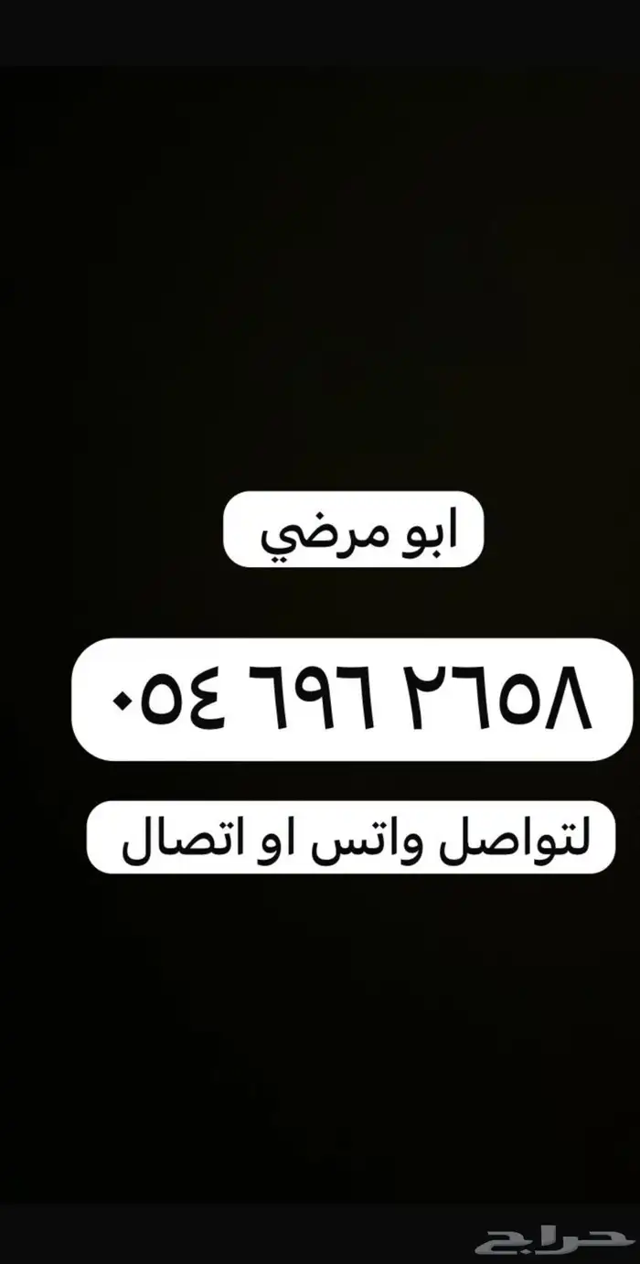 تيس مصري نادر 3