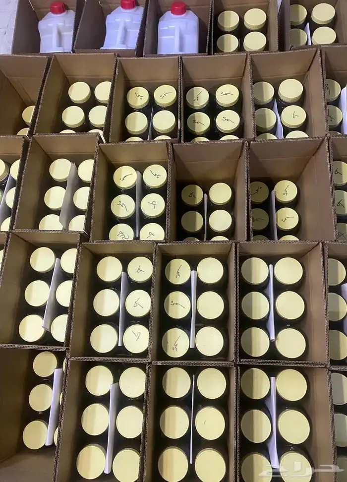 عسل السدر الجبلي 1