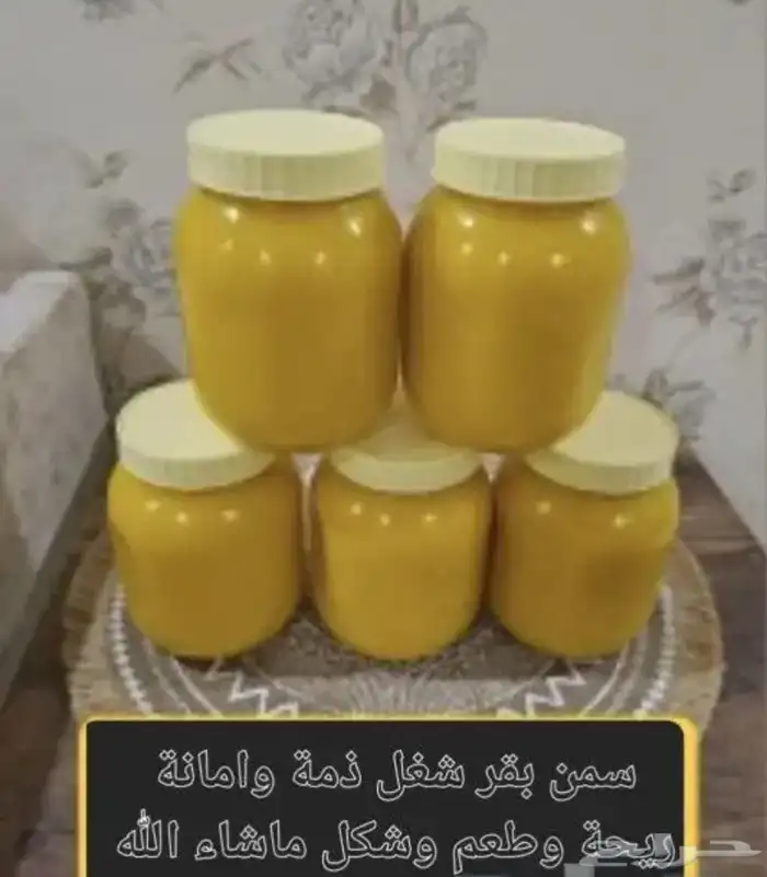 سمن بقر وسمن غنم مظمون ومرجوع شرط 10