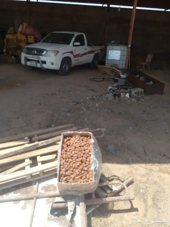 اخلاص اشيقر نزل الرياض 5