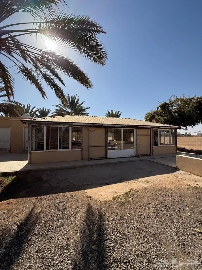 دور للبيع حي النخيل وشقة حي الفلاح وارض الجامعه ومزرعه للبيع 12