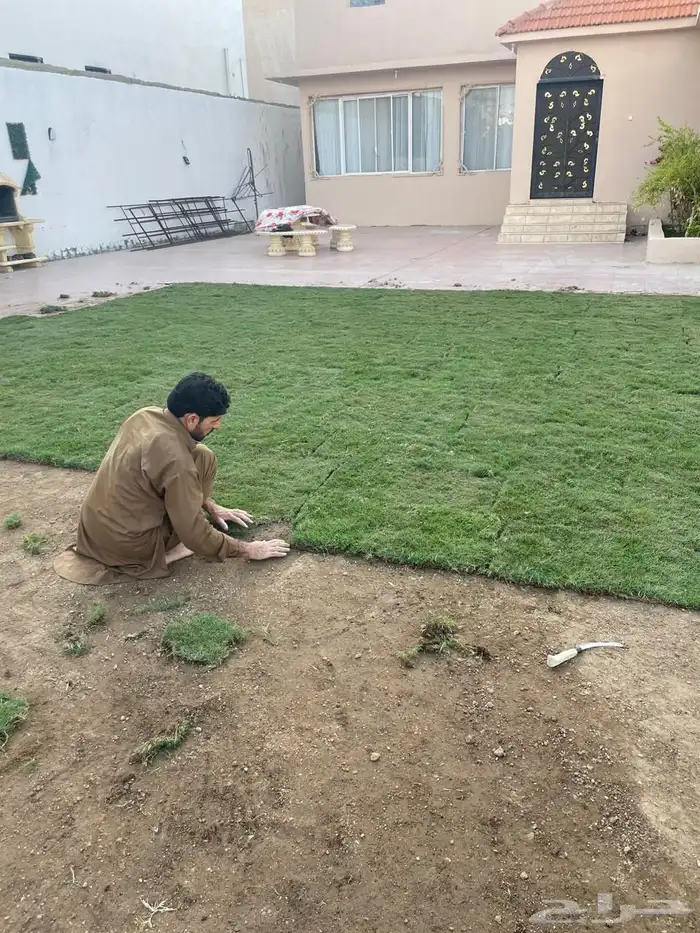 تنسيق حدايق اشجار زينه وانجيله 4