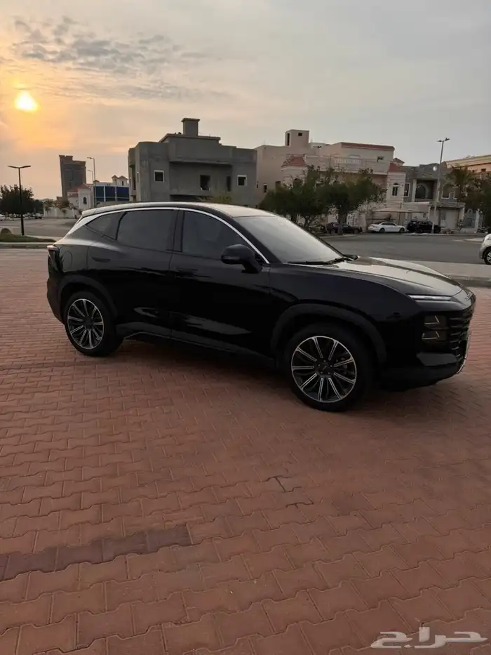 جيتور داشينج 2023 2