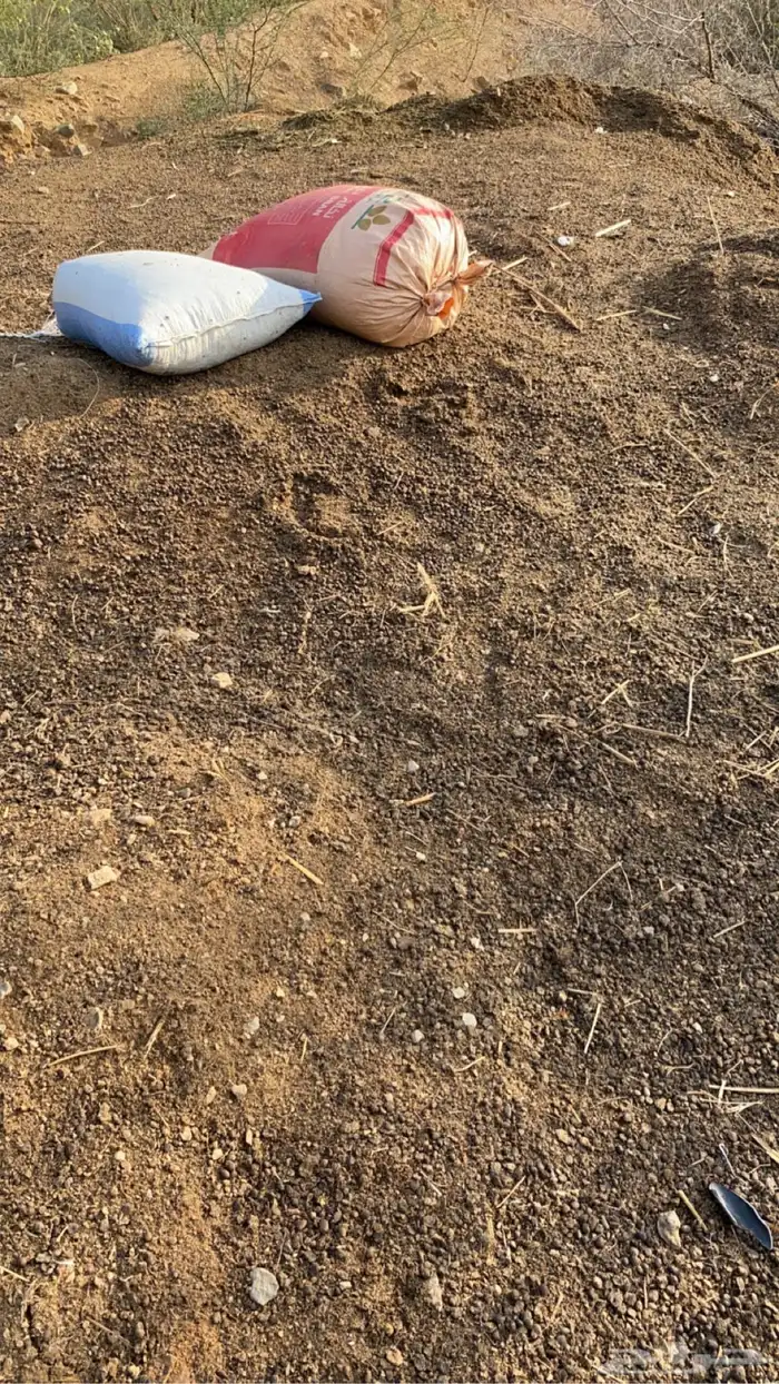 سماد غنم قديم 2