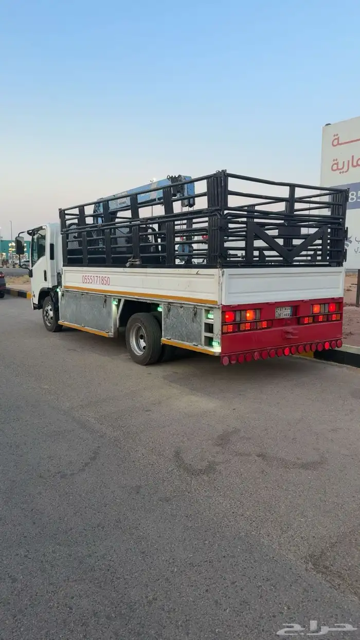 دينا ونش مشاوير 0