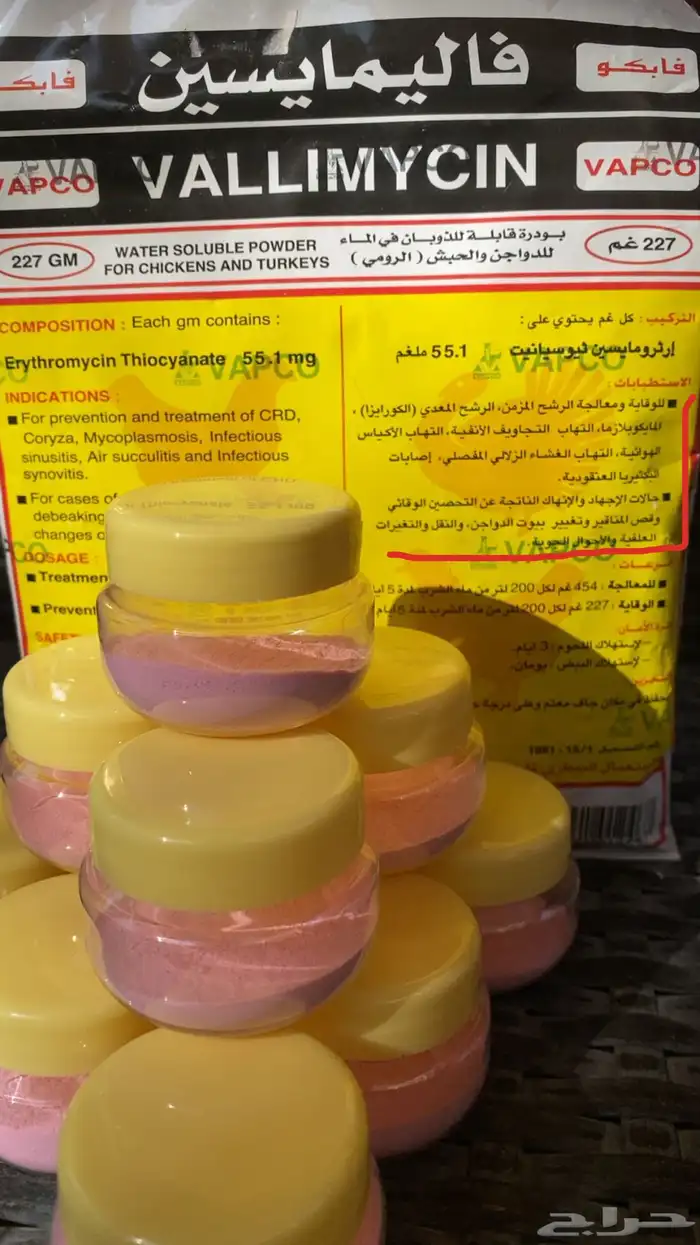 اكل طيور زينة مليسا دخن 0