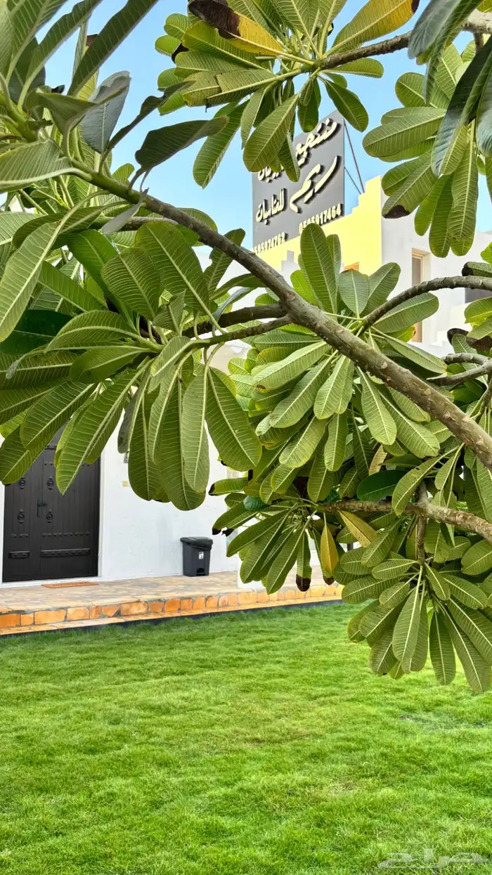 مجالس للاجار اليومي للمناسبات الدمام الفرسان 9