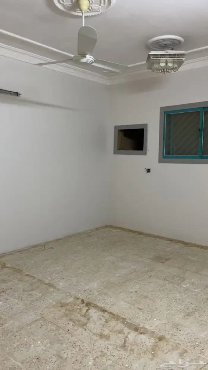 دبلوكس للايجار 5