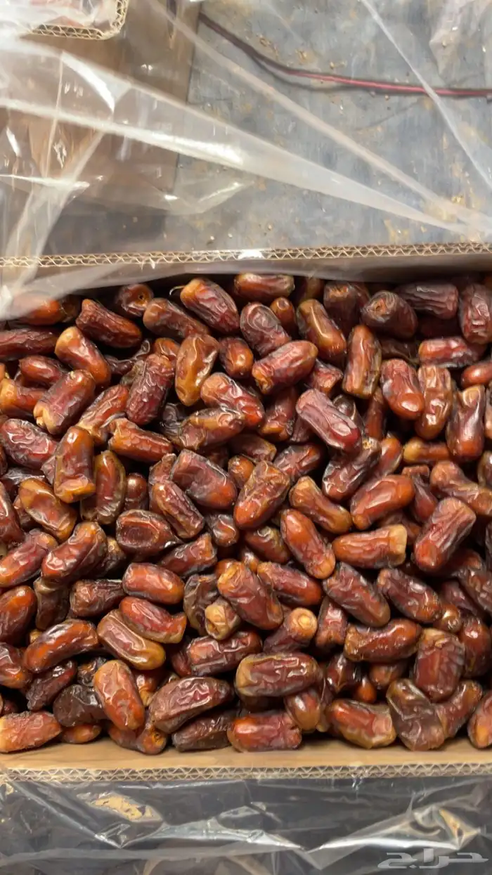 تمر برني مطوق رقم اثنين شي طيب 0