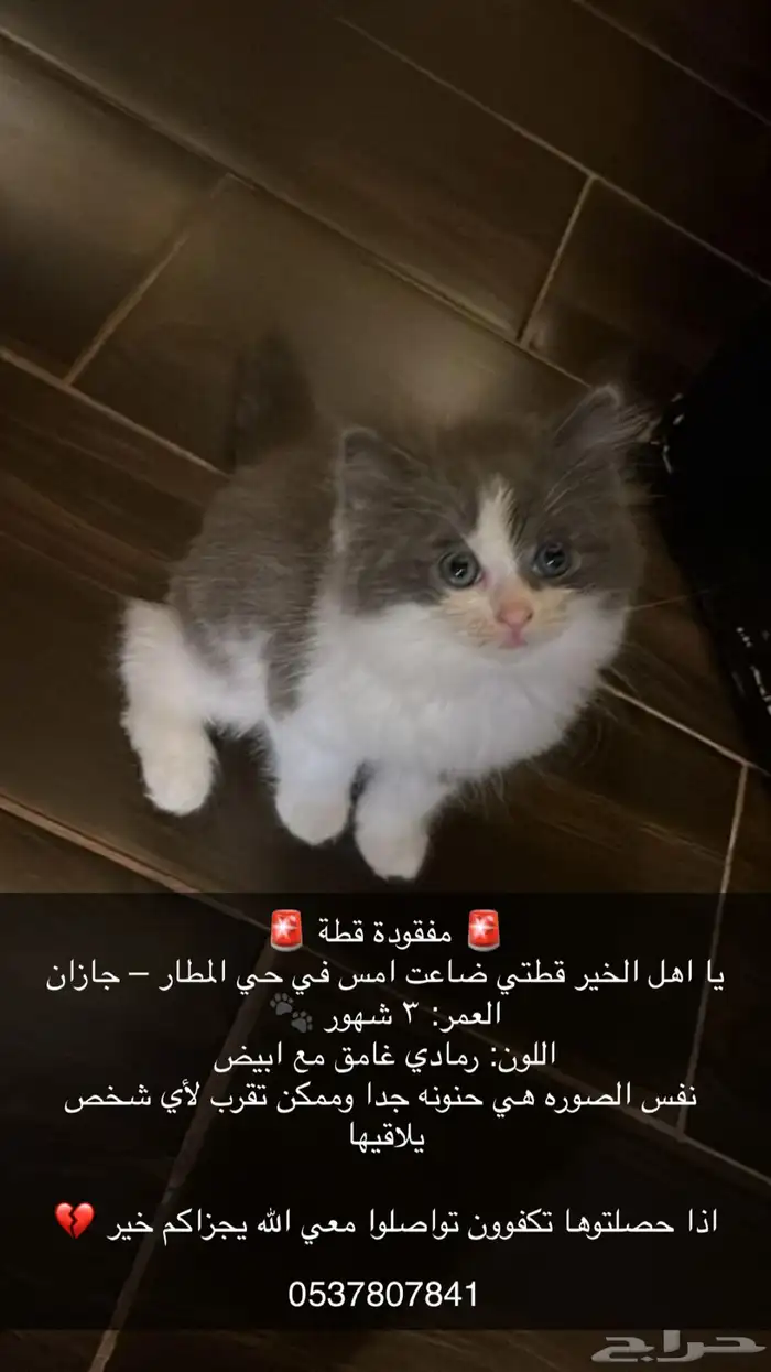 قطوه ضايعه 0